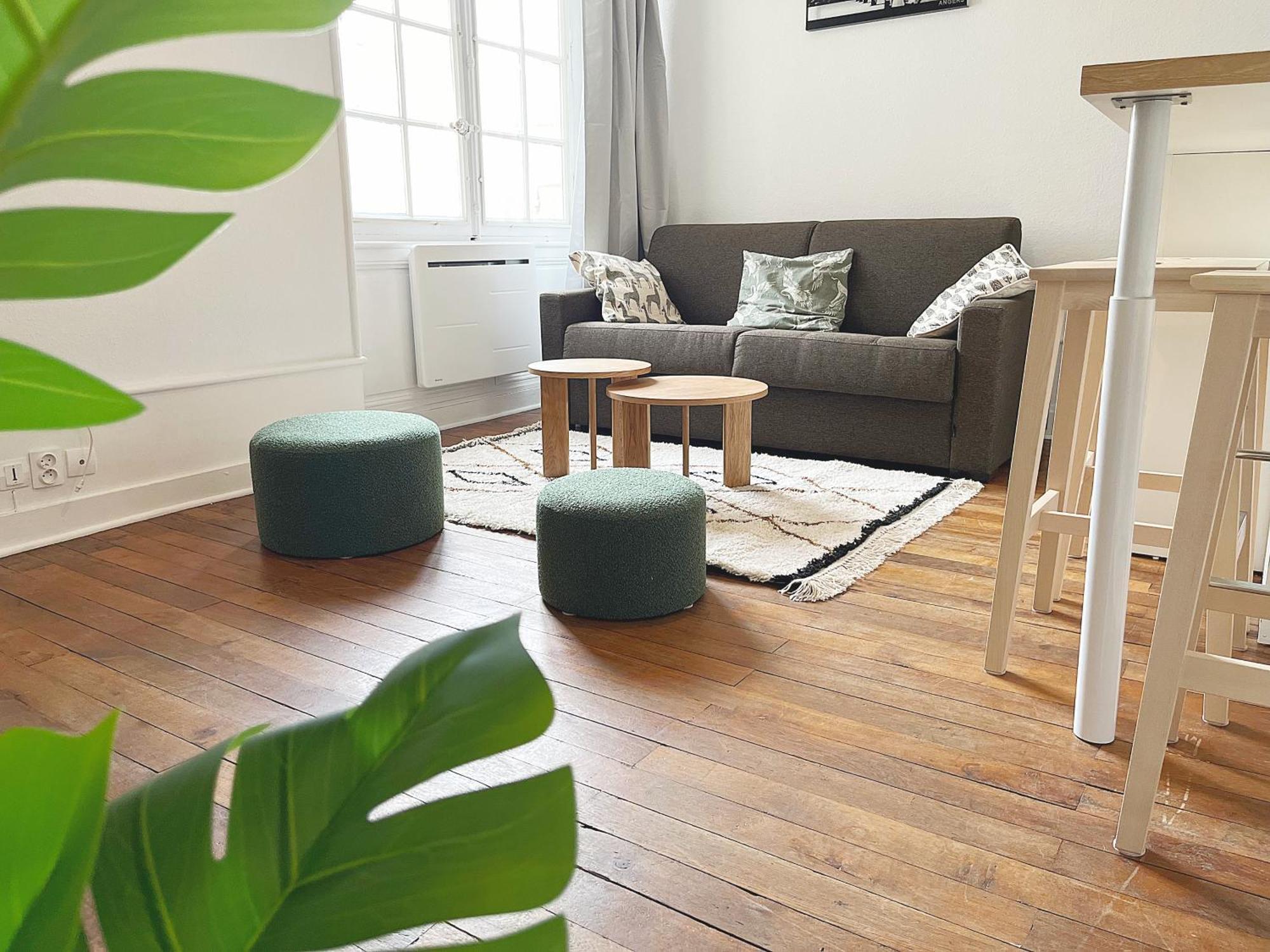 Le Cocon Angevin Apartment Angers Ngoại thất bức ảnh